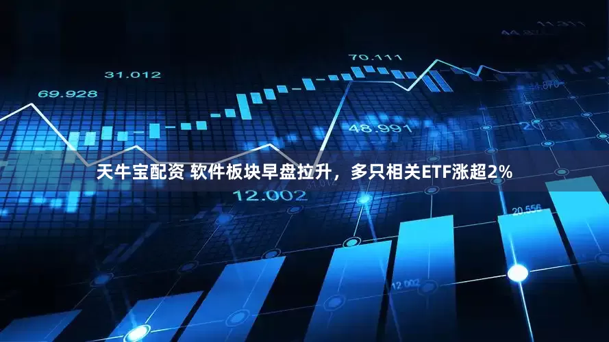 天牛宝配资 软件板块早盘拉升，多只相关ETF涨超2%