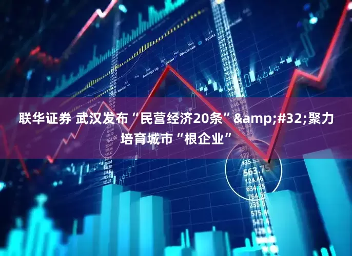 联华证券 武汉发布“民营经济20条”&#32;聚力培育城市“根企业”