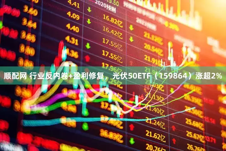 顺配网 行业反内卷+盈利修复，光伏50ETF（159864）涨超2%