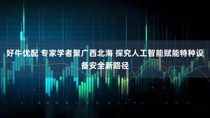 好牛优配 专家学者聚广西北海 探究人工智能赋能特种设备安全新路径