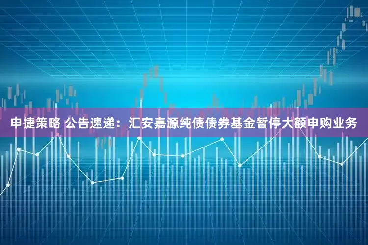 申捷策略 公告速递：汇安嘉源纯债债券基金暂停大额申购业务