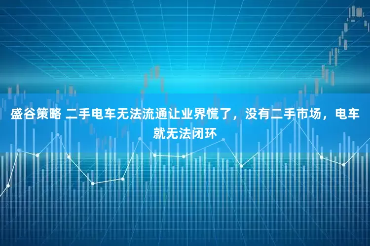 盛谷策略 二手电车无法流通让业界慌了，没有二手市场，电车就无法闭环