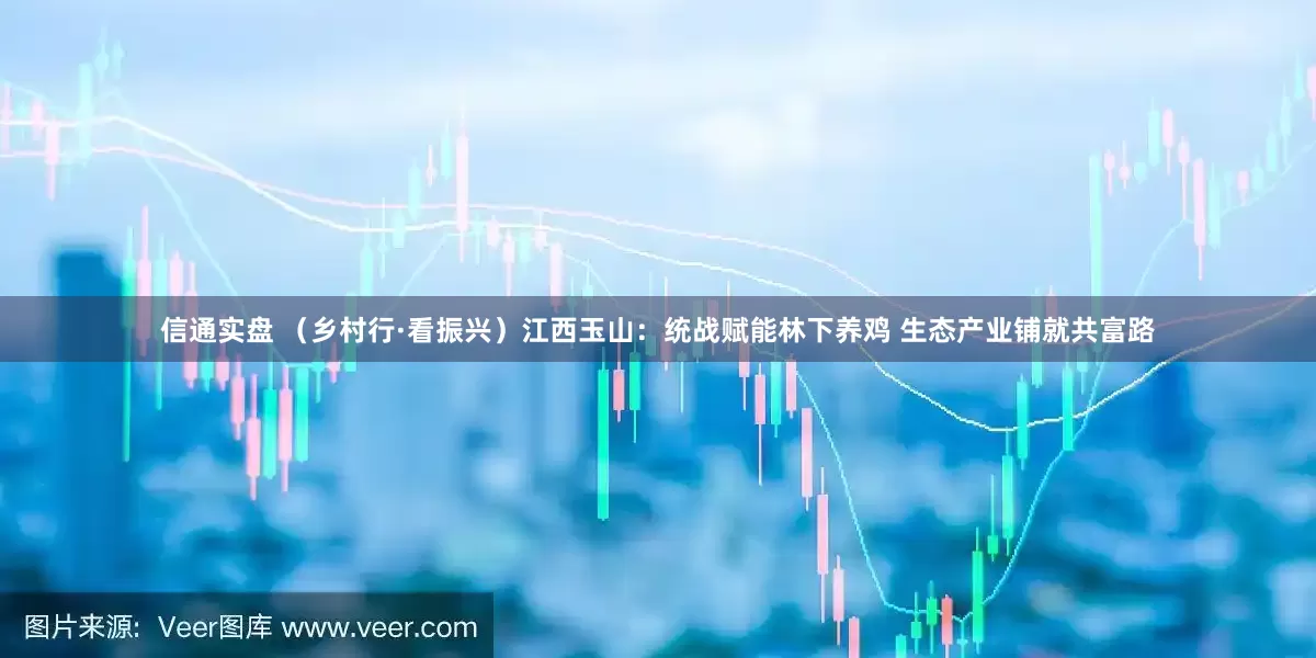 信通实盘 （乡村行·看振兴）江西玉山：统战赋能林下养鸡 生态产业铺就共富路